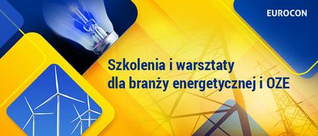 REGULACJE POLSKIEGO RYNKU ENERGII ELEKTRYCZNEJ W PIGUŁCE, szkolenie on-line
