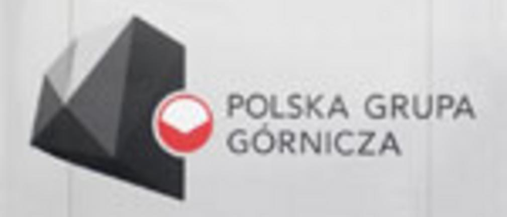 Polska Grupa Górnicza chce inwestować, obniżać koszty i ustabilizować produkcję