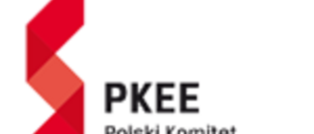 PKEE: najkorzystniejszy dla Polski jest rozdział systemów Niemiec i Austrii