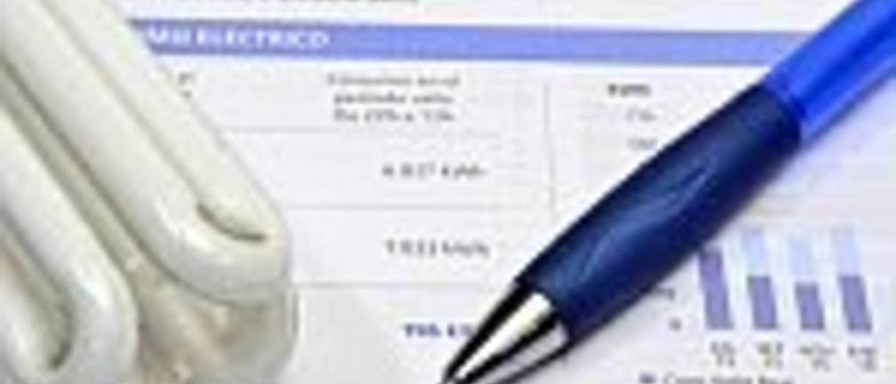 "Puls Biznesu": CO2 i budżet sfinansują rekompensaty za energię