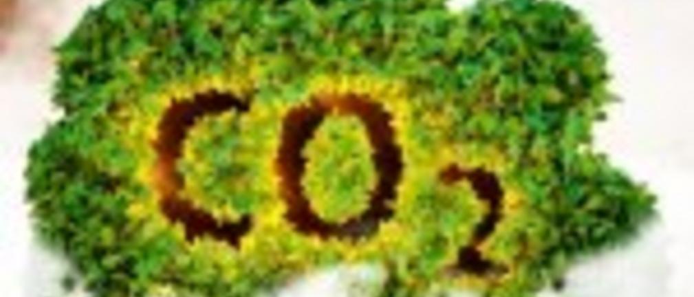 Emisja CO2 związana z wycinką lasów - kilkakrotnie niższa, niż zakładano