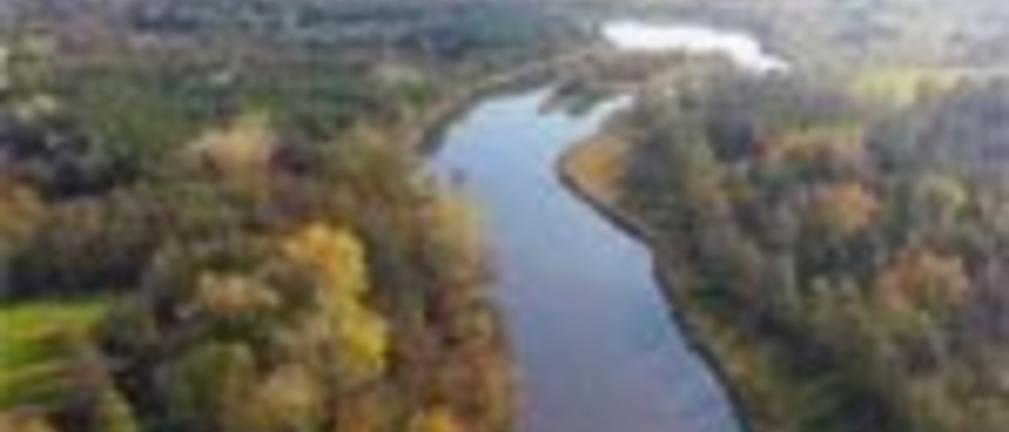Narybek w setkach milionów z hodowli w Ostrołęce