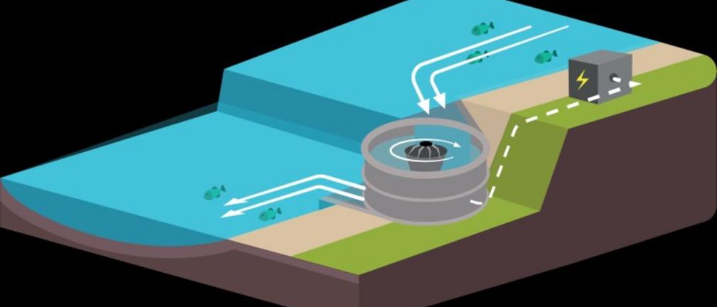 Turbulentne elektrownie wodne – przyszłość zielonej energetyki