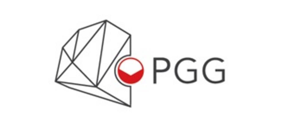 PGG: zmiana klasyfikacji ekogroszków będzie ze szkodą dla odbiorców węgla