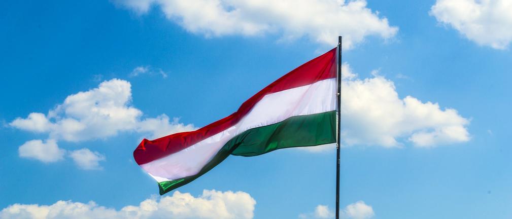 Transformacja energetyczna i rezygnacja z węgla w Polsce i na Węgrzech. Różnice, podobieństwa, doświadczenia