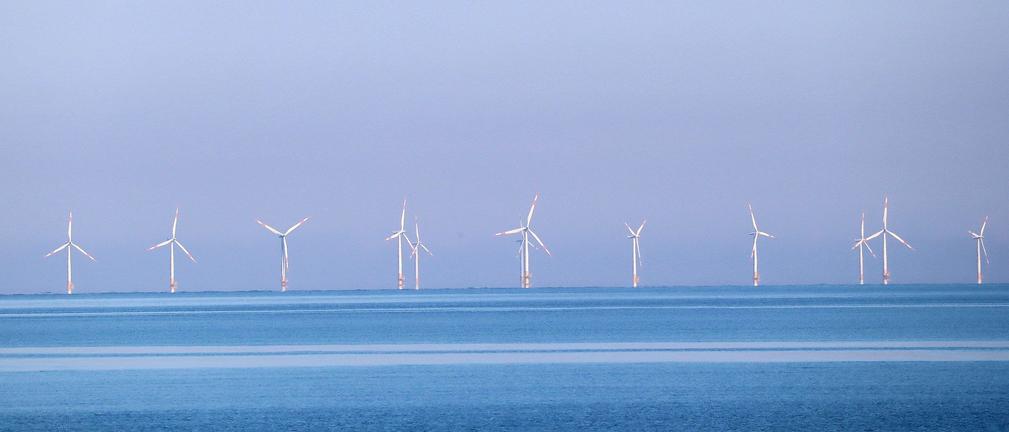 Port Gdynia ogłosił przetarg na prace geologiczne pod budowę terminala instalacyjnego morskich farm wiatrowych