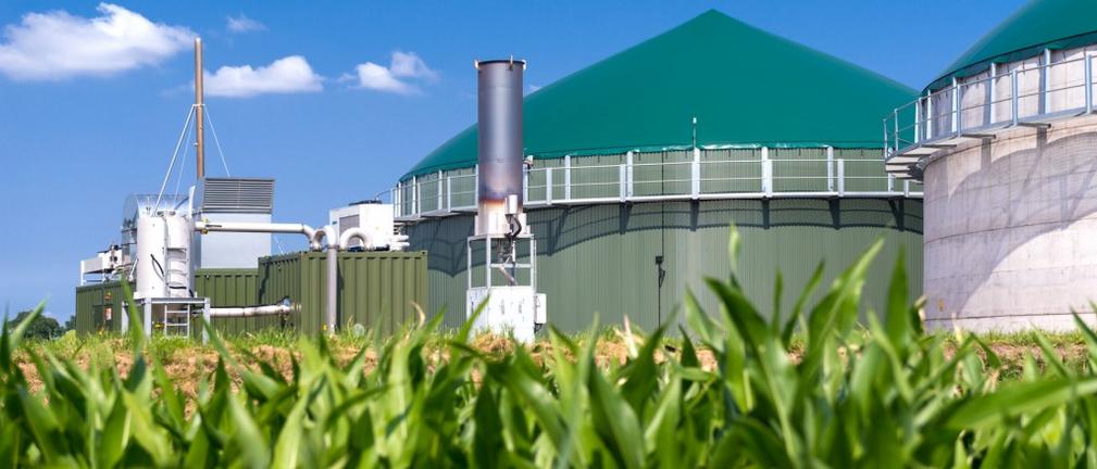 Krajowy Ośrodek Wsparcia Rolnictwa raportuje ilość instalacji biogazu rolniczego, dane za 2021