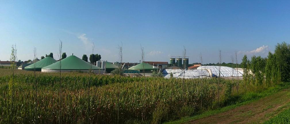 Biometan – Szansa na zazielenienie polskiej sieci gazowej?