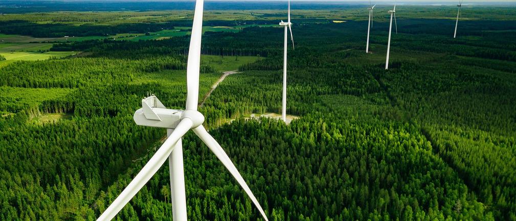 ZE PAK chce zrealizować projekt wiatrowy w Człuchowie; nakłady zw. z nabyciem i realizacją farmy to ok. 725 mln zł 