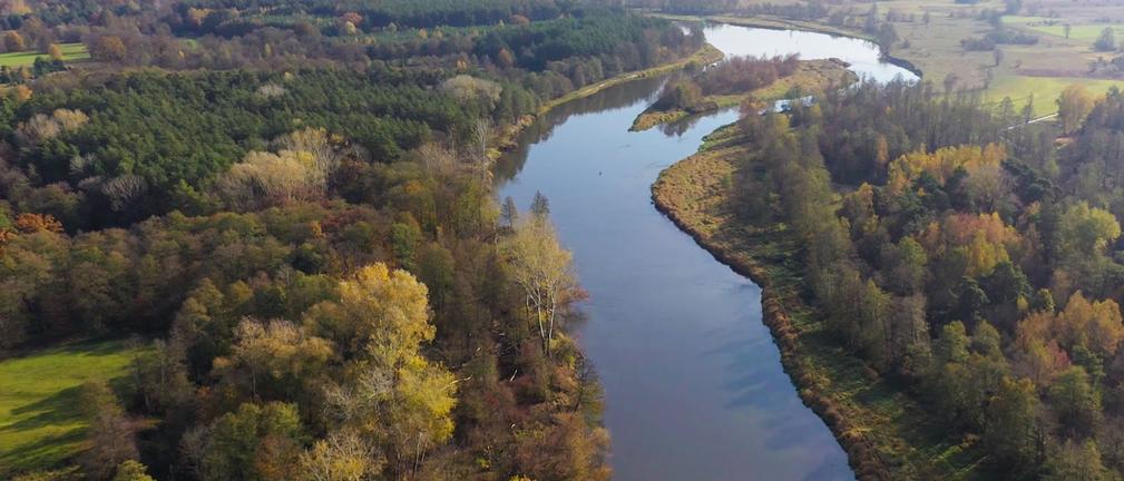 Grupa Energa wyjaśnia wpływ elektrowni Ostrołęka B na stan i zarybienie rzeki Narew