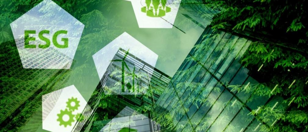 Raportowanie ESG, a oczekiwania konsumentów – wnioski z raportu Ekobarometr 2023