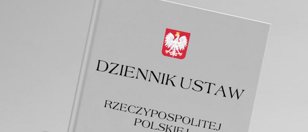 Ustawa o strategicznych inwestycjach w sieci przesyłowe opublikowana w Dzienniku Ustaw