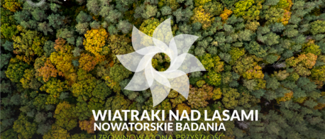 W sieci krążą fake newsy o wycince lasów pod wiatraki, Lasy Państwowe wyjaśniają i dementują 