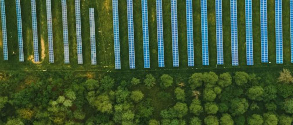 Polimex Mostostal i Polimex Budownictwo zbudują Elektrownię Fotowoltaiczną PV Marulewy