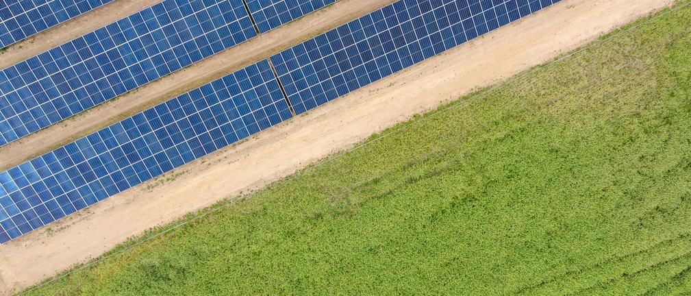 Dzięki tegorocznym aukcjom OZE wolumen zakontraktowanej zielonej energii przekroczy 300 TWh