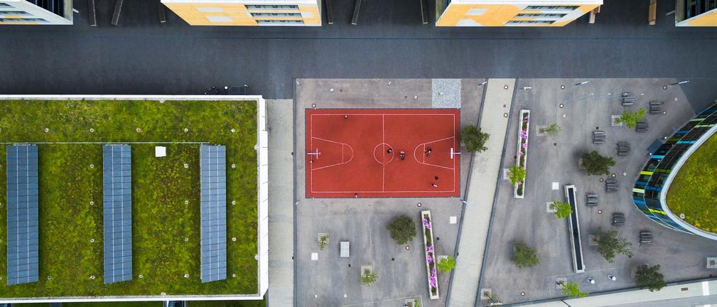 Szkolenie z projektowania, budowy i nadzorowania zielonych dachów