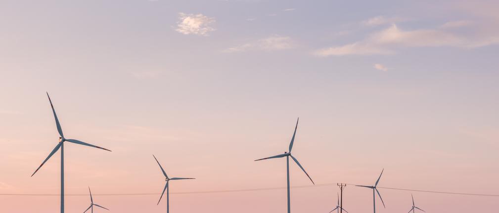 EDP wygrało przetarg w Niemczech na rozwój farm wiatrowych o mocy ponad 200 MW