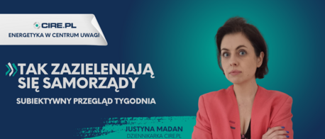 Tak zazieleniają się samorządy. Subiektywny przegląd tygodnia