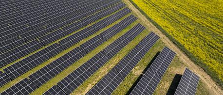 Grupa PAD RES zakontraktowała projekty fotowoltaiczne o mocy ponad 150 MW